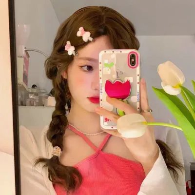 鹈鹕的故事