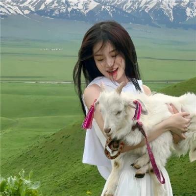 骗子的故事